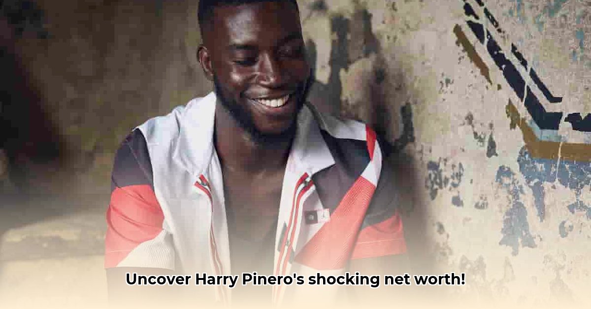 harry-pinero-net-worth